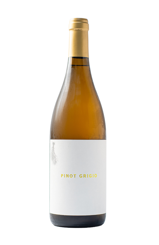 Channing Daughters Pinot Grigio