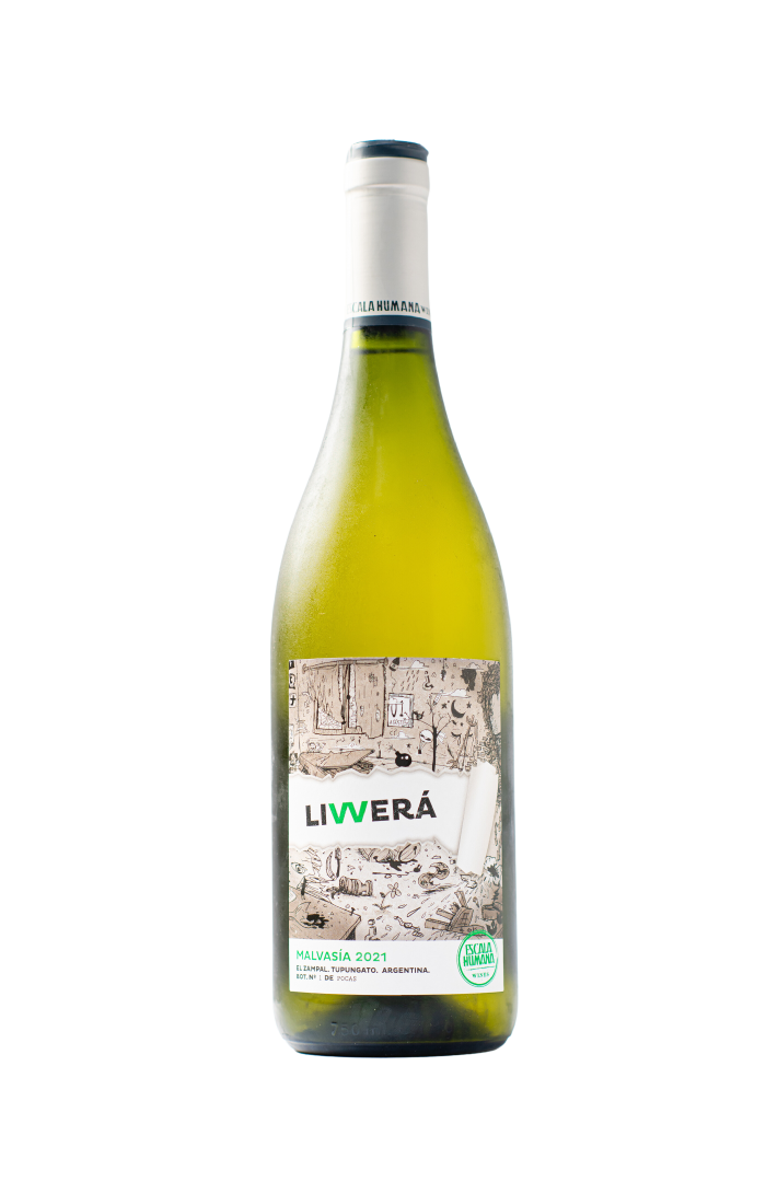 Escala Humana - Livvera, Malvasía